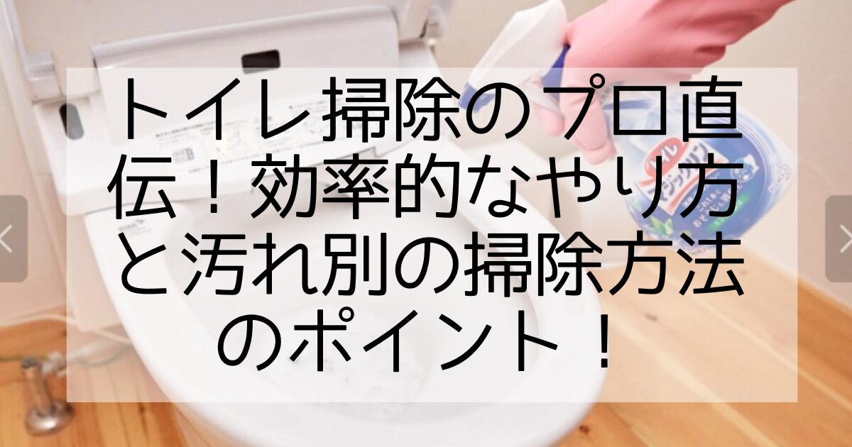 トイレ清掃 プロのやり方