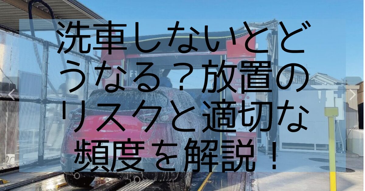 洗車しないとどうなる？ リスク解説